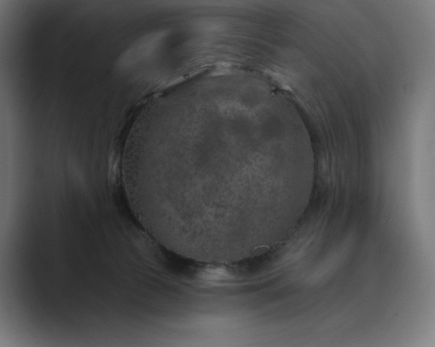 X0000089340177200706291008