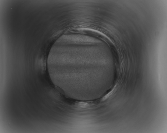 X0000089340180200706291008