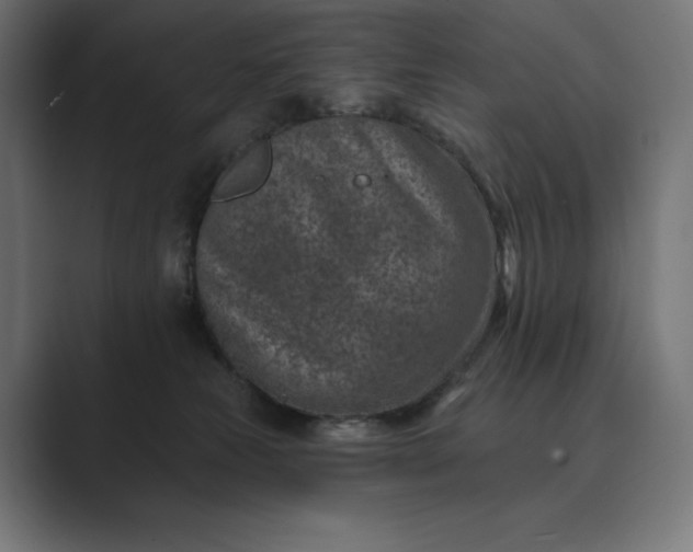 X0000089340181200706291008