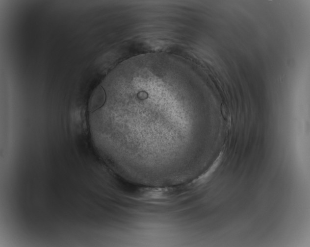 X0000089340182200706291008