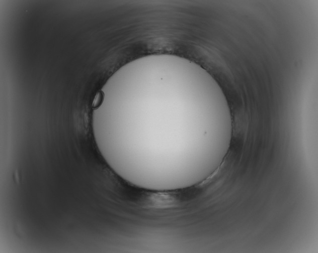 X0000089340183200706291008