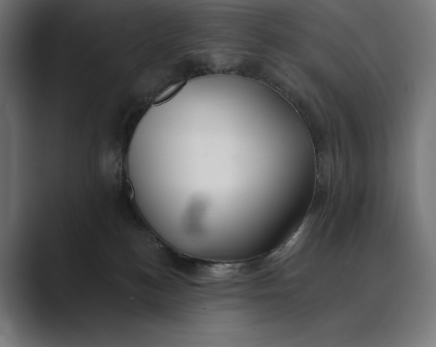 X0000089340184200706291008