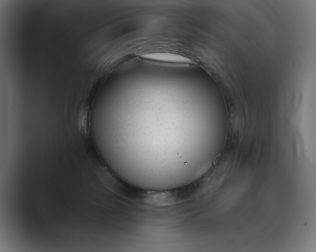 X0000089340185200706291008