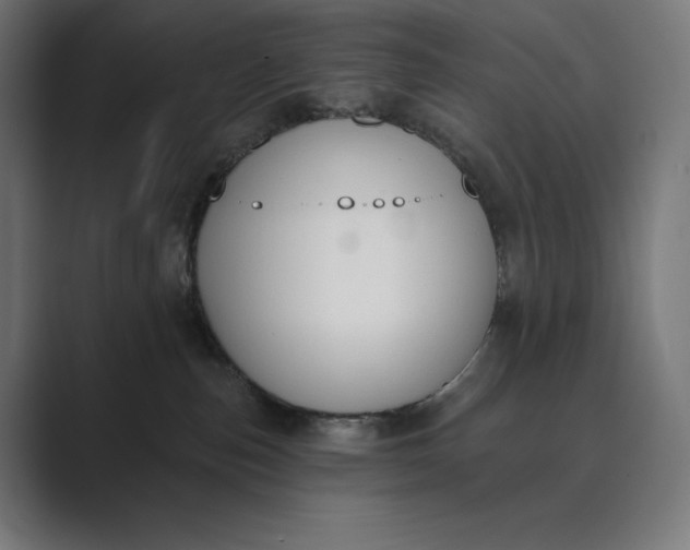X0000089340187200706291008