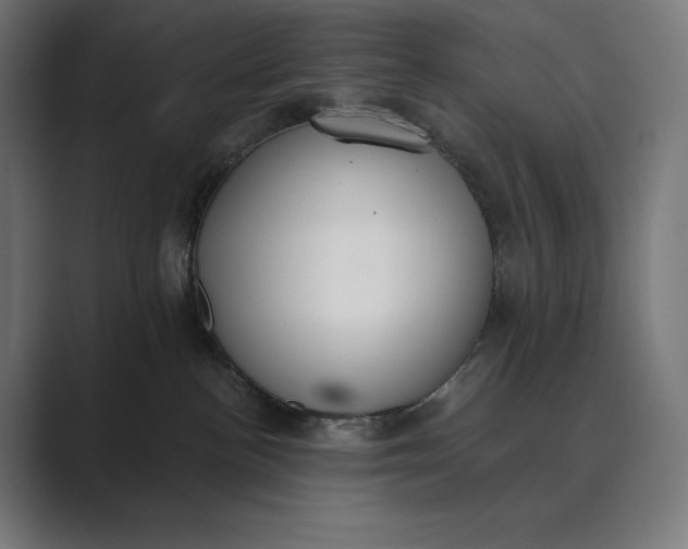 X0000089340188200706291009