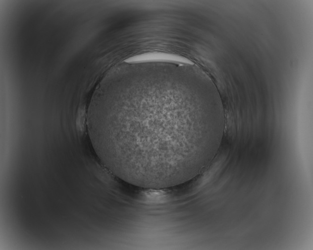 X0000089340189200706291009