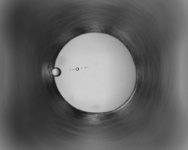 X0000089340190200706291009