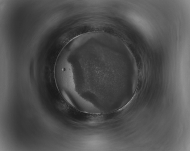 X0000089340191200706291009