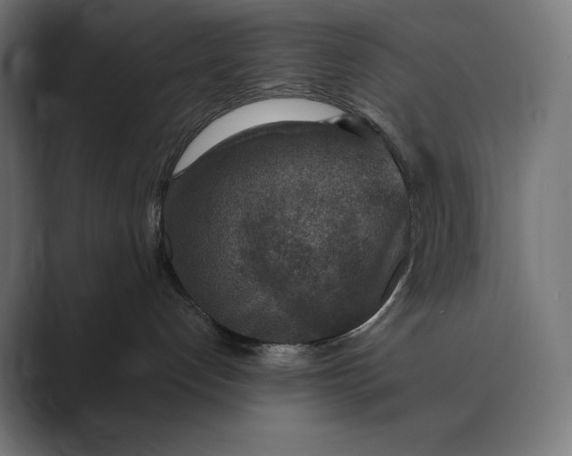 X0000089340192200706291009