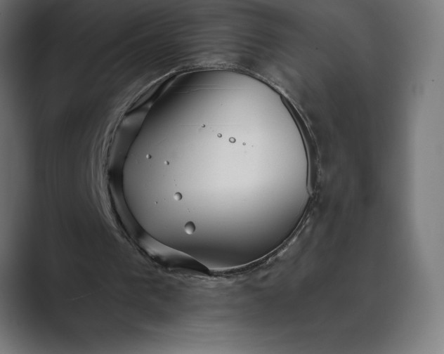 X0000089340193200706291008