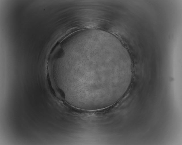 X0000089340194200706291008