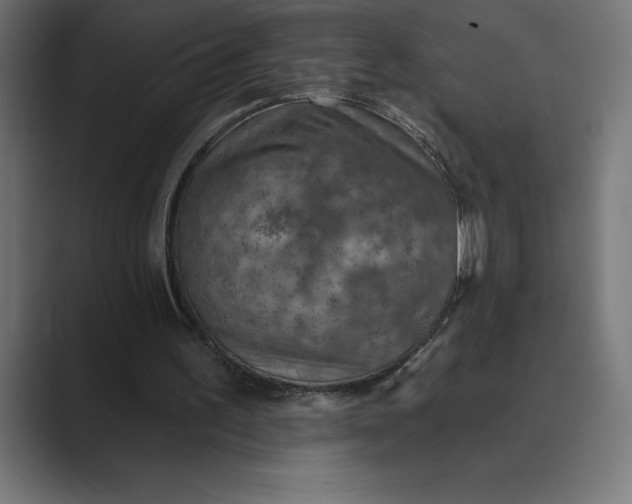 X0000089340195200706291008