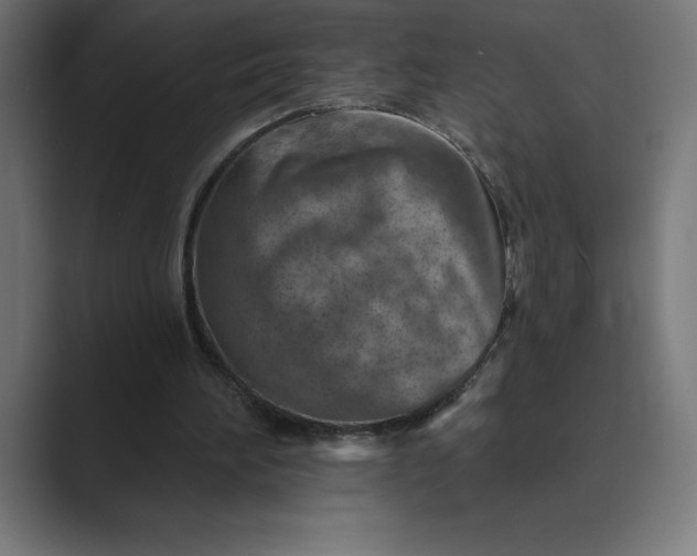 X0000089340196200706291008