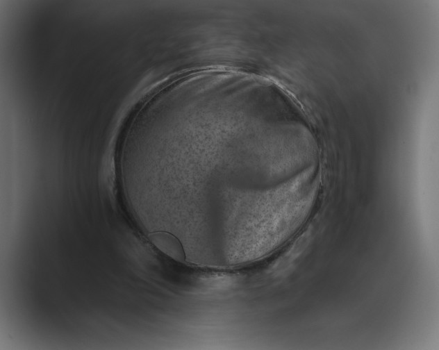 X0000089340198200706291008