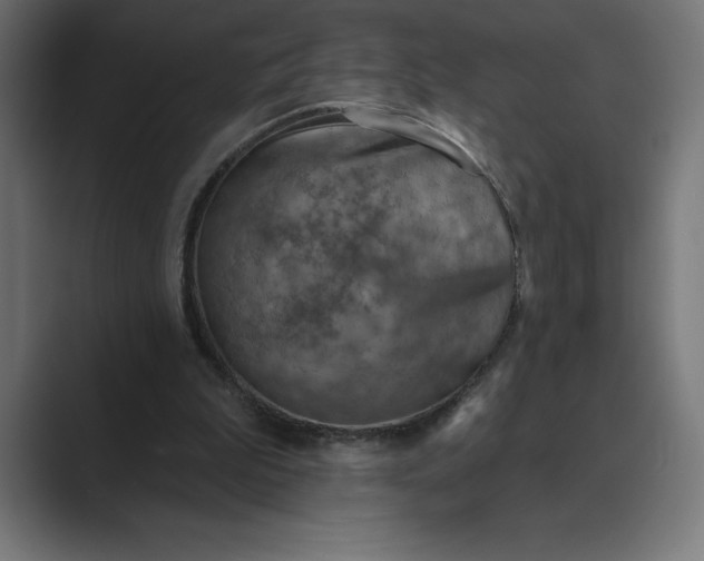 X0000089340199200706291008