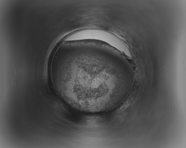 X0000089340200200706291008