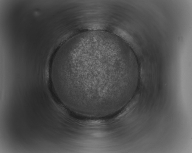 X0000089340202200706291008
