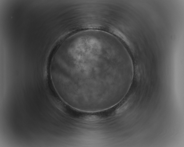 X0000089340203200706291008