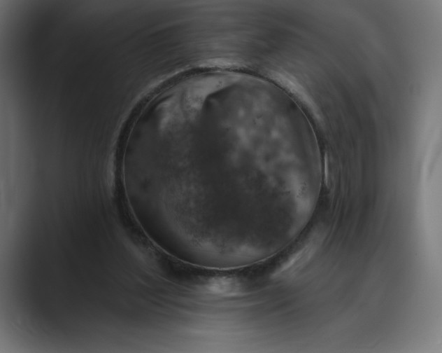 X0000089340204200706291008