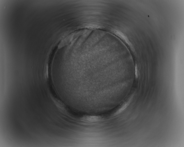 X0000089340205200706291008