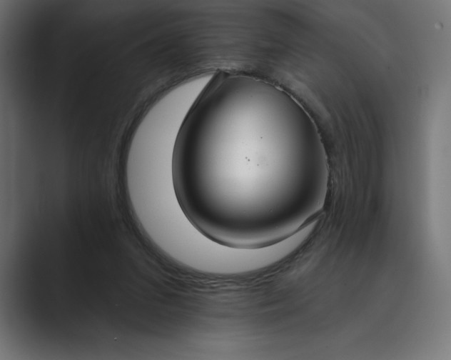 X0000089340207200706291008