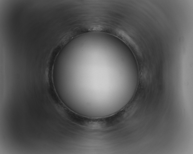 X0000089340209200706291008