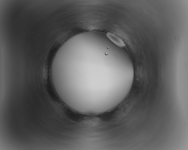 X0000089340210200706291008