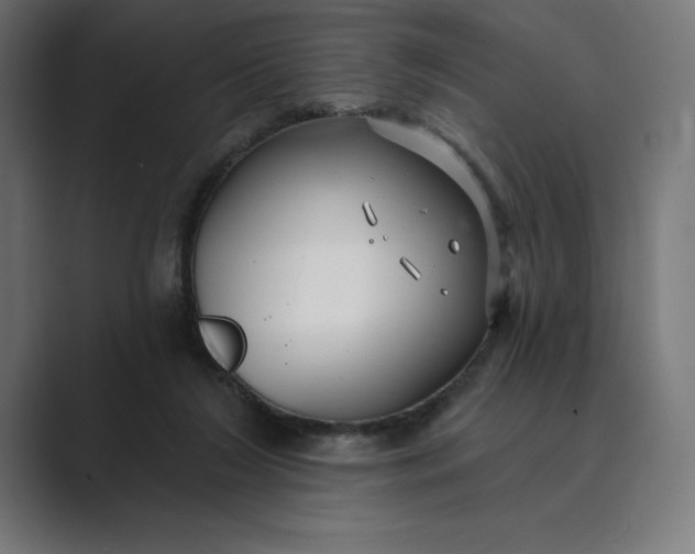 X0000089340212200706291008
