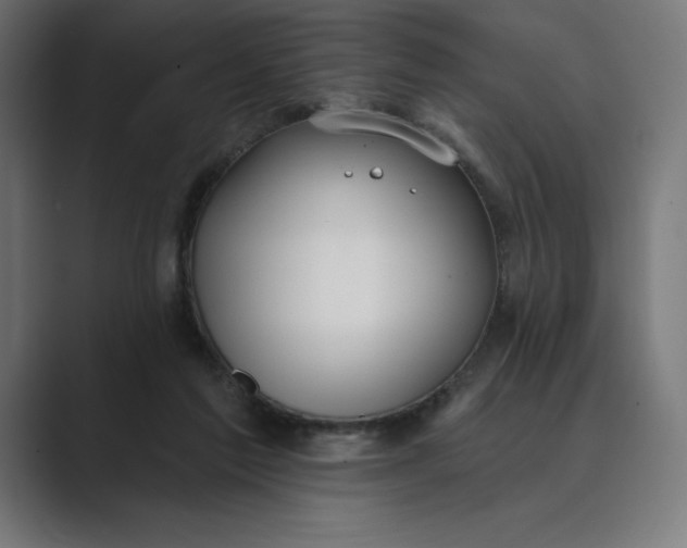 X0000089340213200706291008