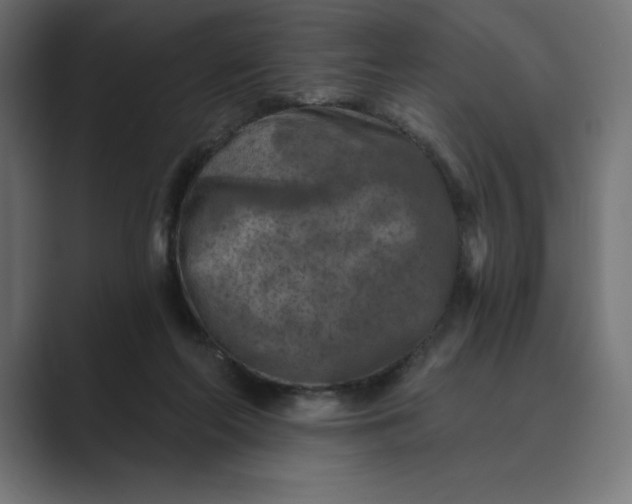 X0000089340214200706291008