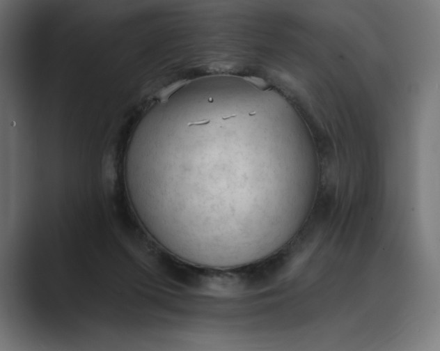 X0000089340215200706291008