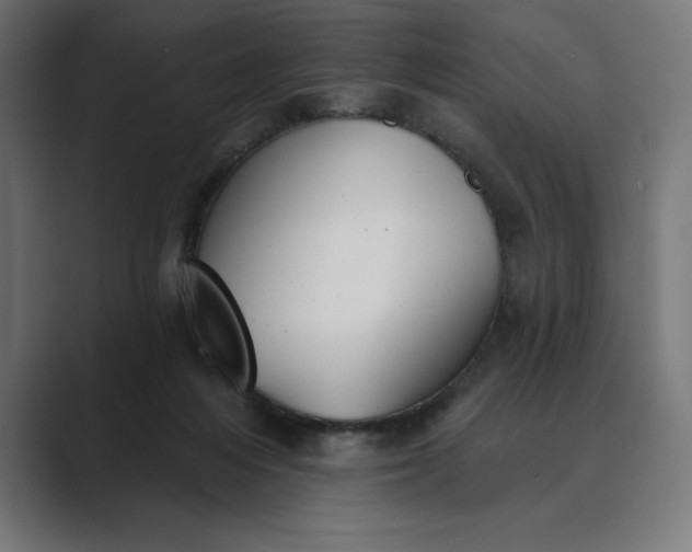 X0000089340216200706291008