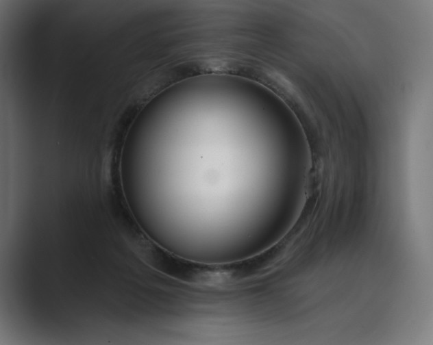 X0000089340217200706291008