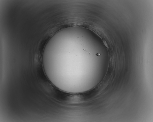 X0000089340218200706291008