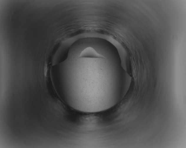 X0000089340219200706291008