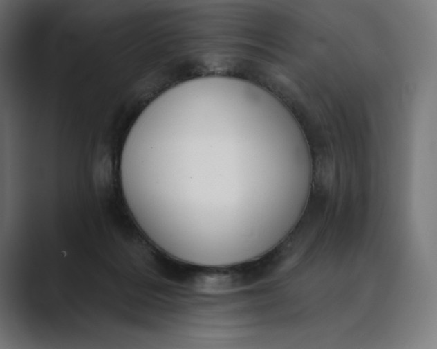 X0000089340220200706291008