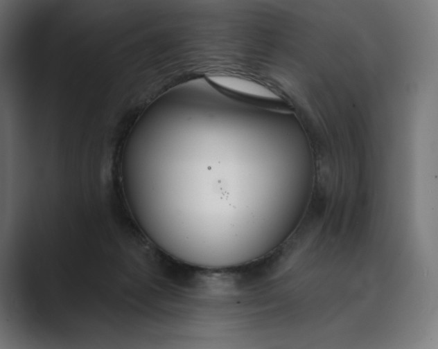 X0000089340221200706291008
