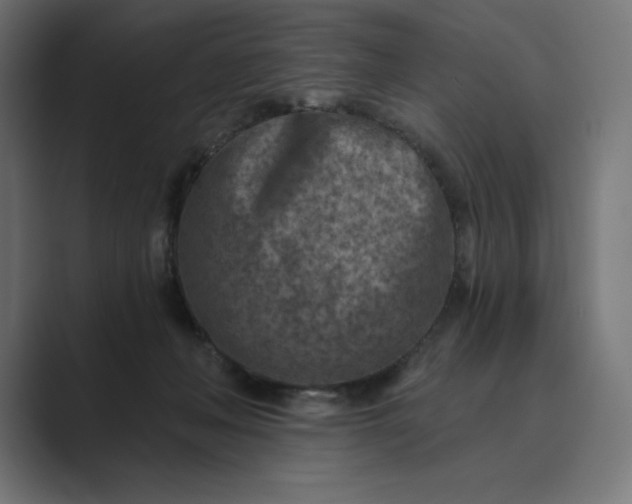 X0000089340222200706291008
