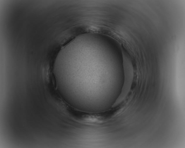 X0000089340223200706291008