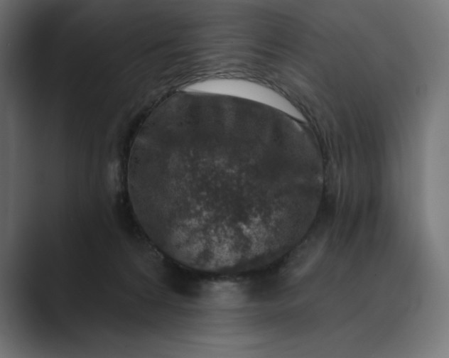 X0000089340224200706291008