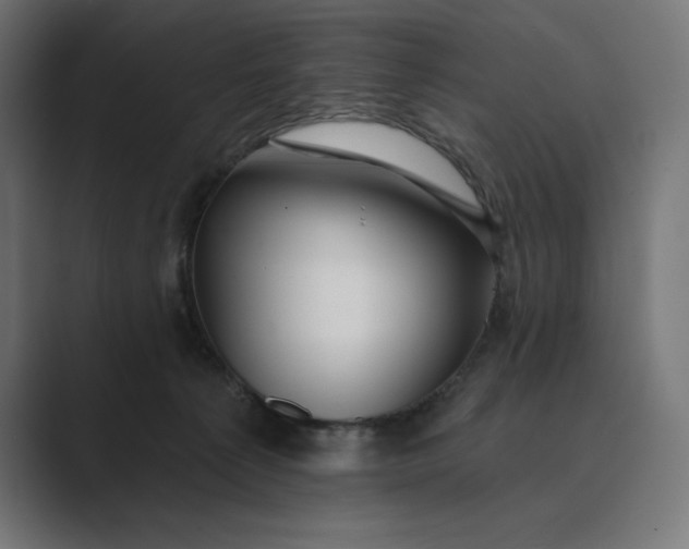 X0000089340225200706291008