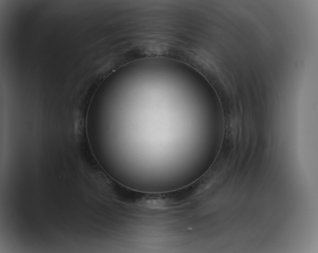 X0000089340228200706291007