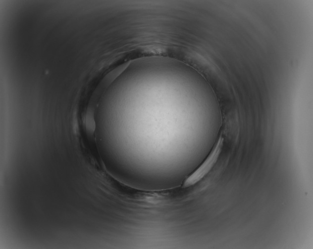 X0000089340229200706291007
