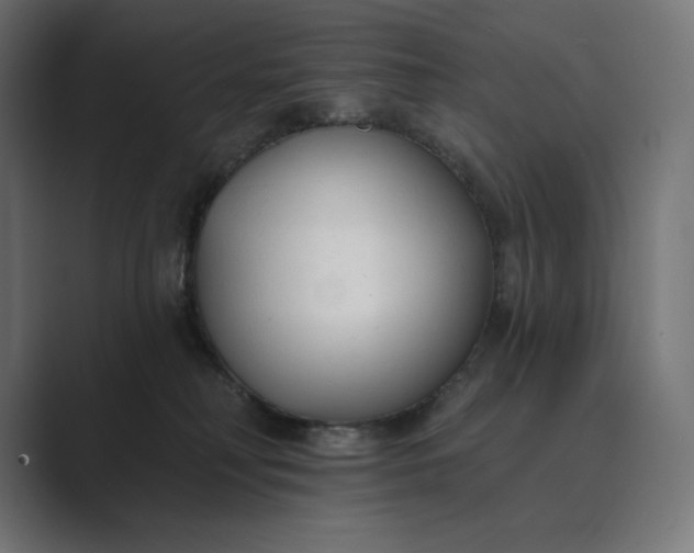 X0000089340230200706291007