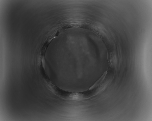 X0000089340231200706291007