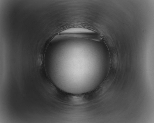 X0000089340232200706291007