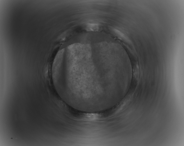 X0000089340233200706291007