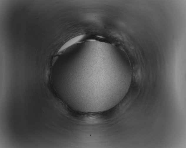 X0000089340235200706291007