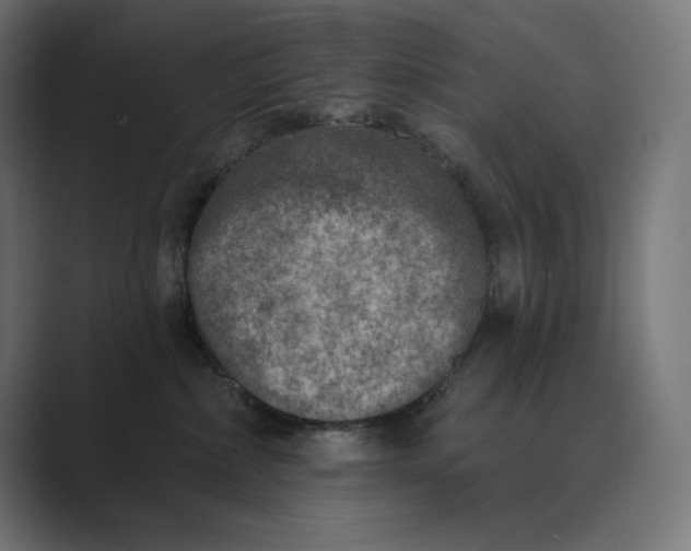 X0000089340236200706291007