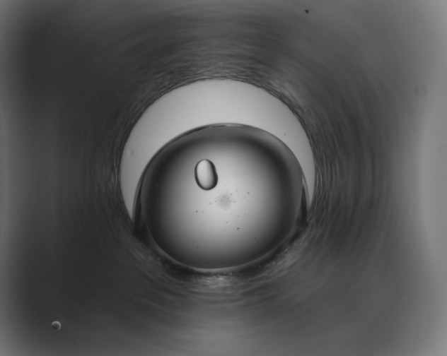 X0000089340237200706291007